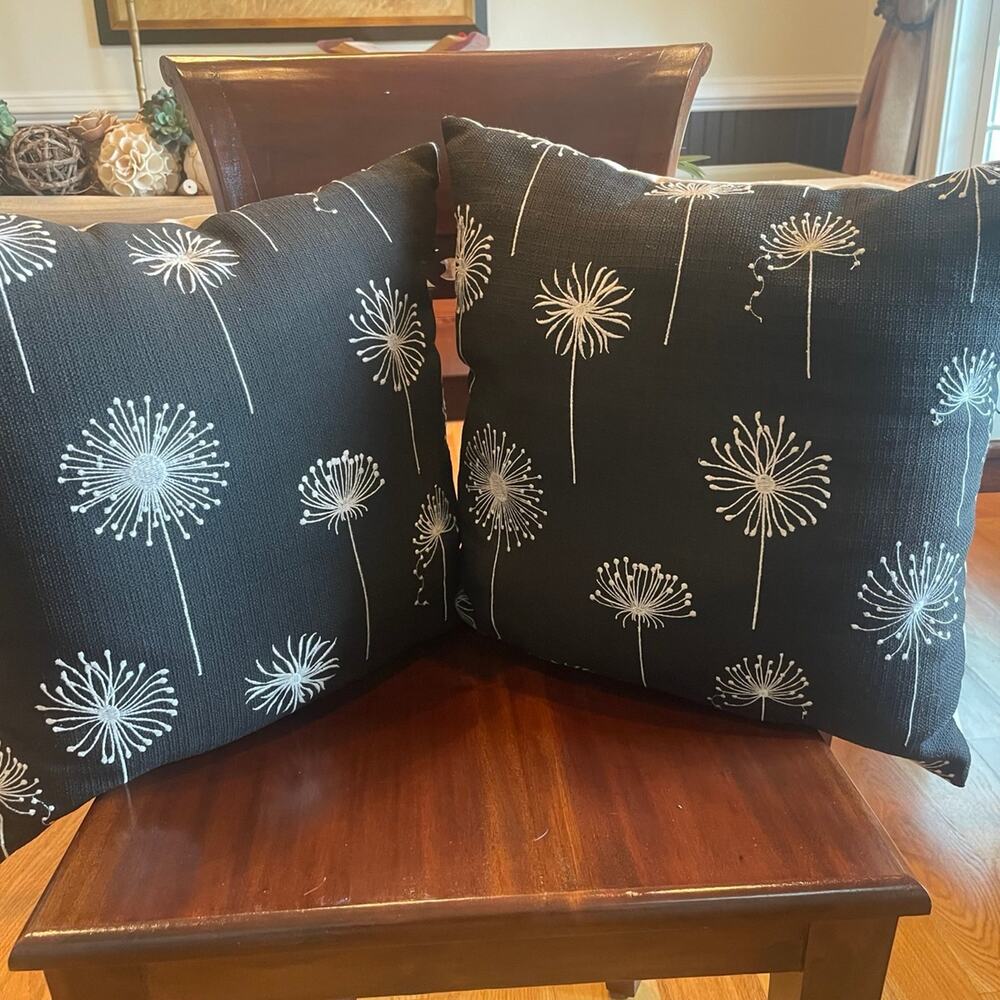 Pair of Beautiful, Versatile Throw Pillows